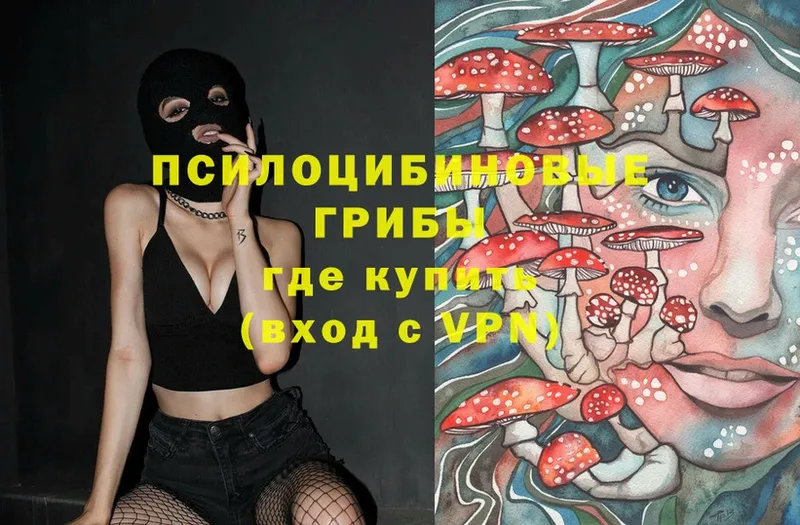 закладки  Балей  Псилоцибиновые грибы Magic Shrooms 